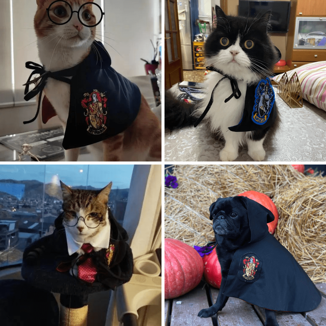 Harry Potter Cape Costume for Cats and Dogs Pet Dress Up