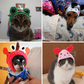 Animal Shaped Cat Hat Cute Pet Costume Headwear for Cats