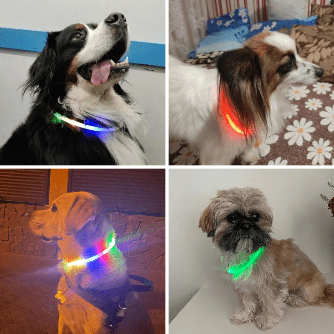 LED Dog Collar Rechargeable Light Up Safety Collar for Dogs