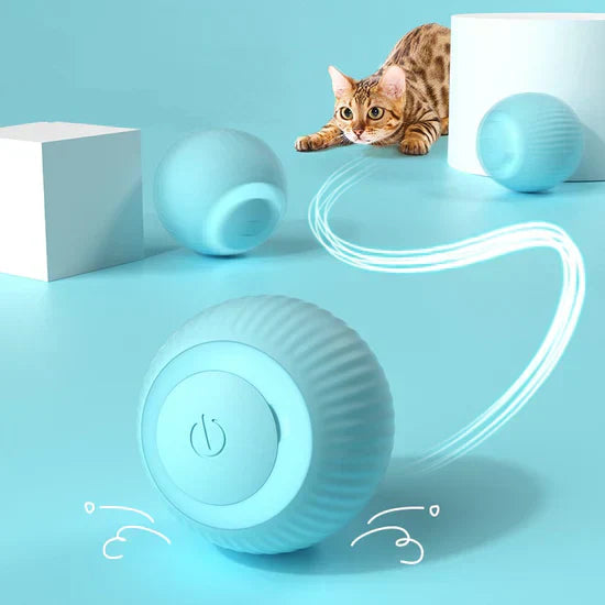 Interactive Cat Toy Ball