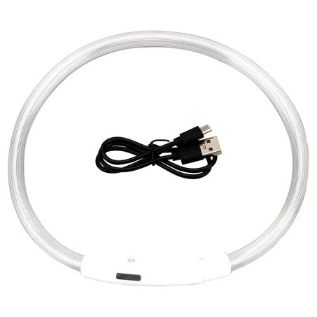 LED Dog Collar Rechargeable Light Up Safety Collar for Dogs