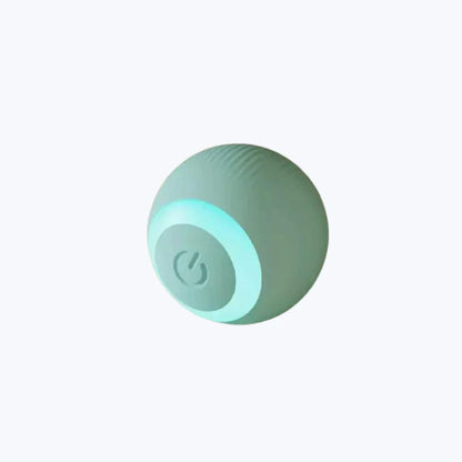 Interactive Cat Toy Ball