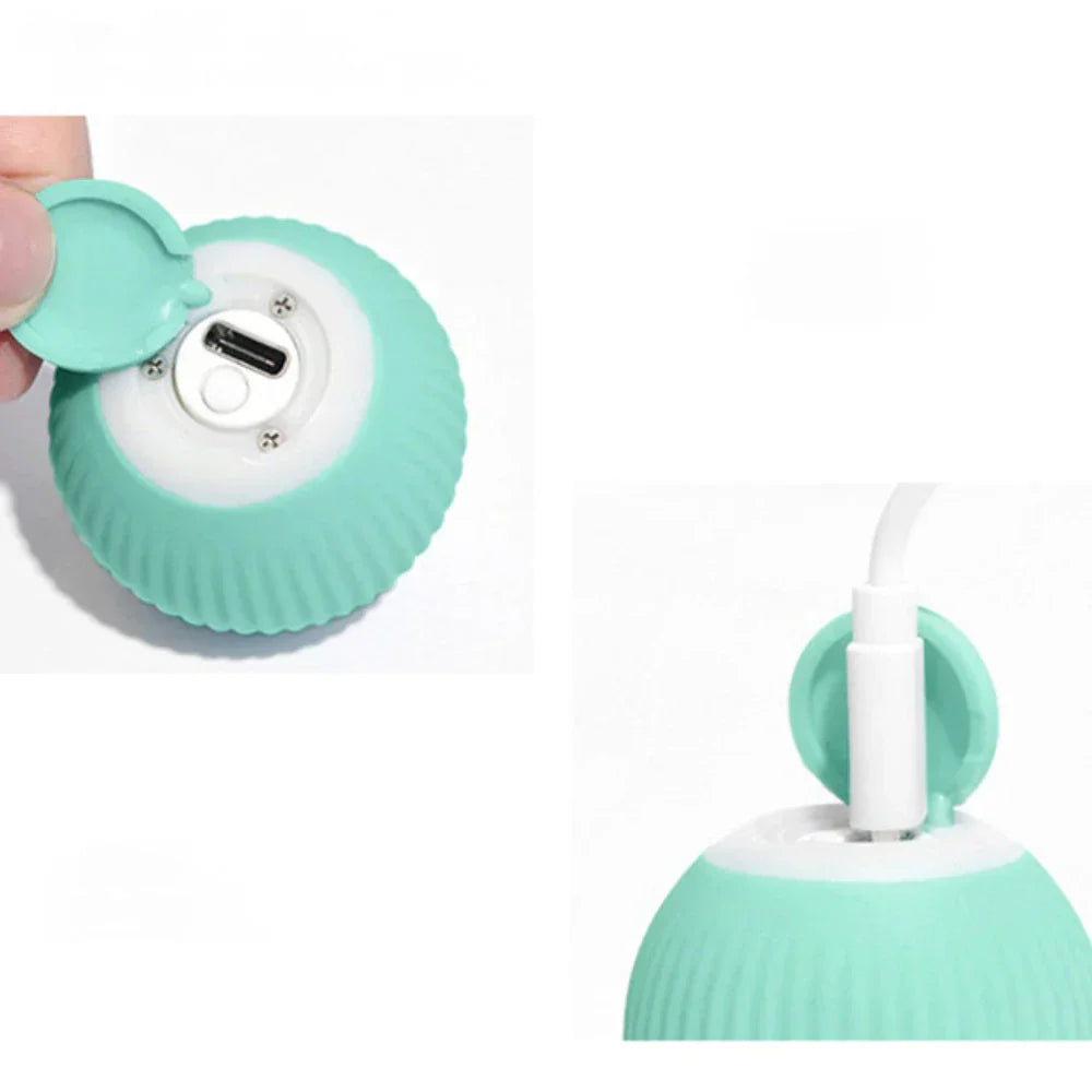 Interactive Cat Toy Ball