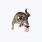 Interactive Cat Toy Ball