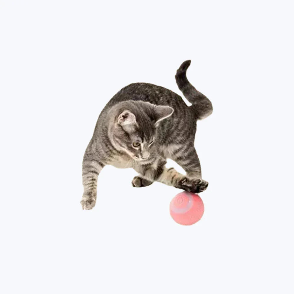 Interactive Cat Toy Ball