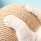 Cat Scratching Ball Toy Interactive Cat Scratcher Durable Play Ball for Cats