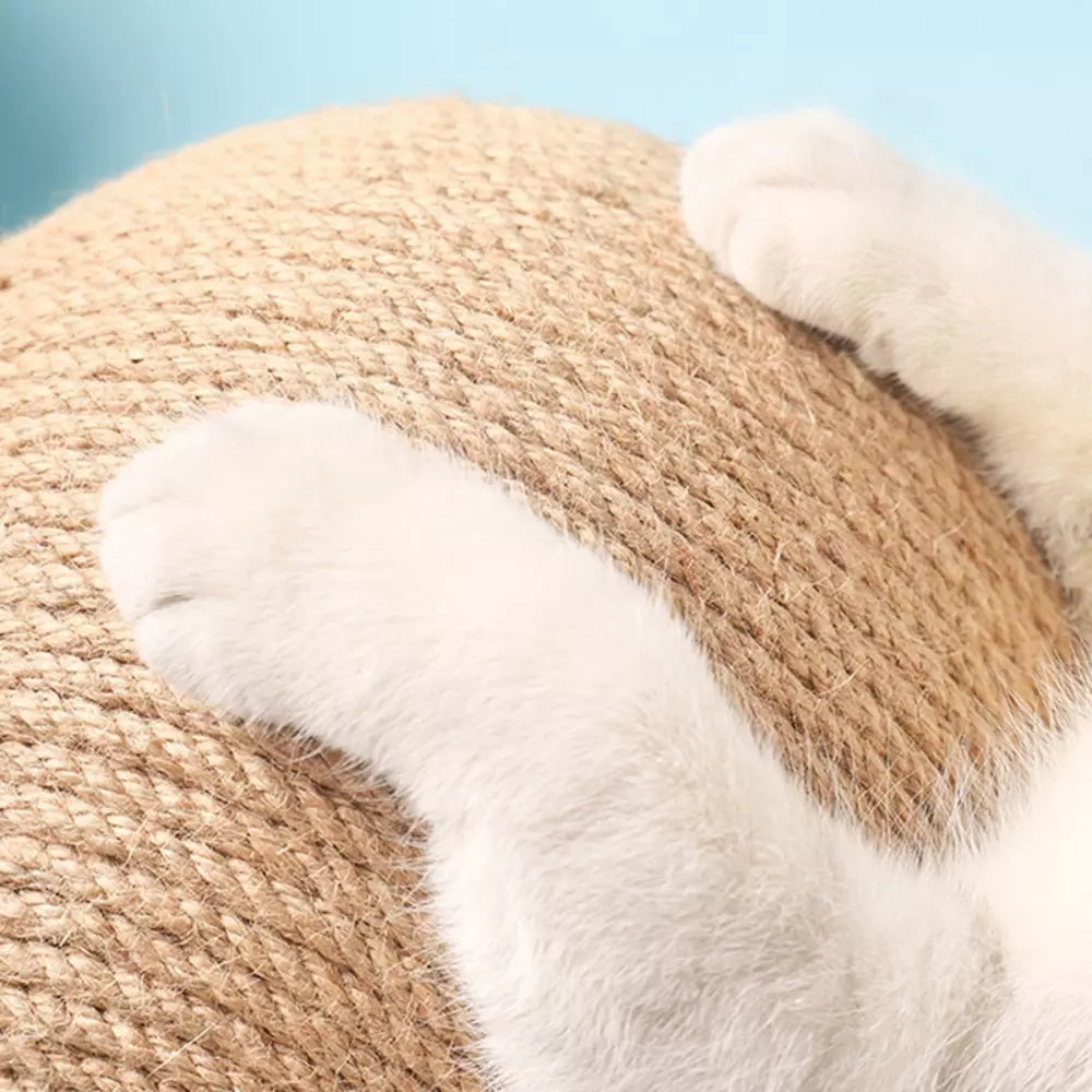 Cat Scratching Ball Toy Interactive Cat Scratcher Durable Play Ball for Cats