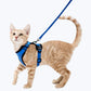 Escape Proof Cat Harness Adjustable No Escape Kitten Harness with Leash