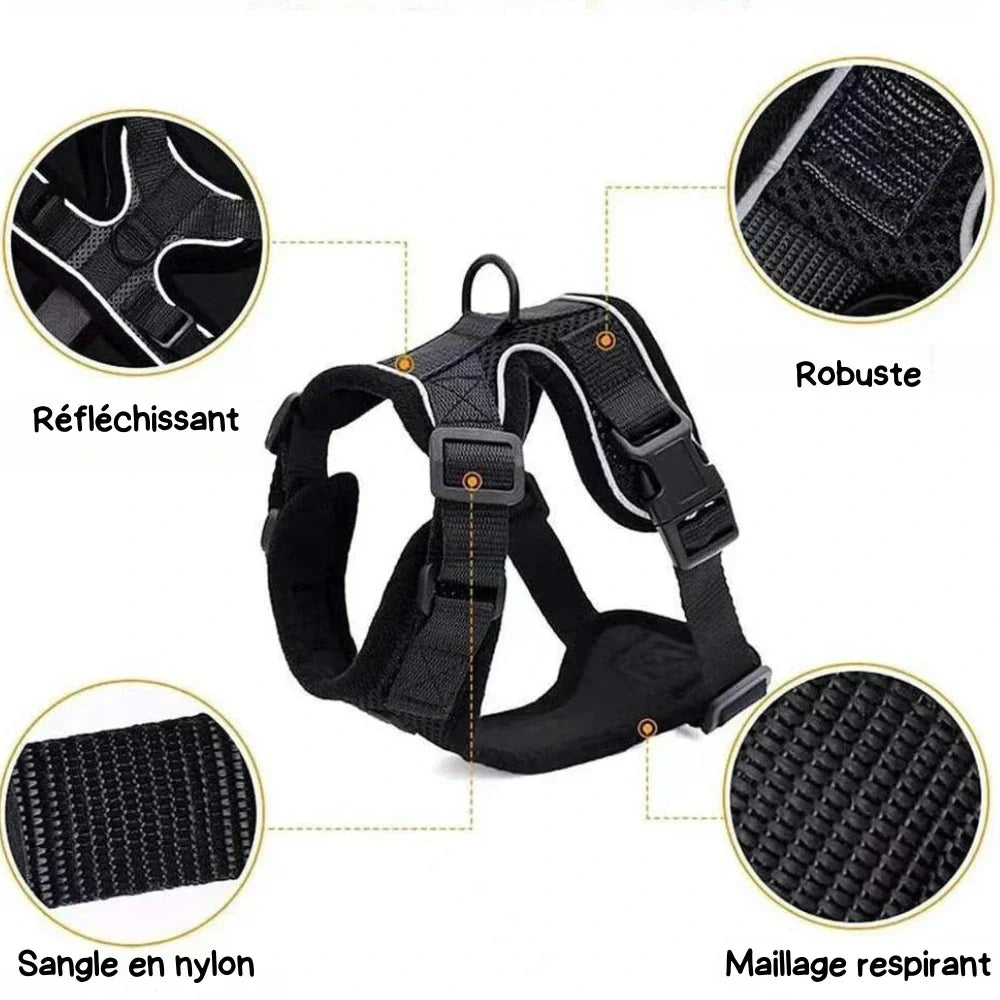 Escape Proof Cat Harness Adjustable No Escape Kitten Harness with Leash