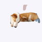 Plush Furry Pet Dog Couch Soft Cozy Bed for Small to Medium Dogs