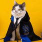 Harry Potter Cape Costume for Cats and Dogs Pet Dress Up