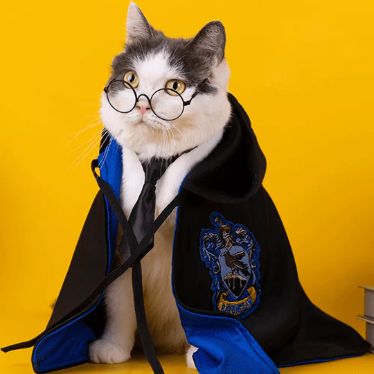 Harry Potter Cape Costume for Cats and Dogs Pet Dress Up