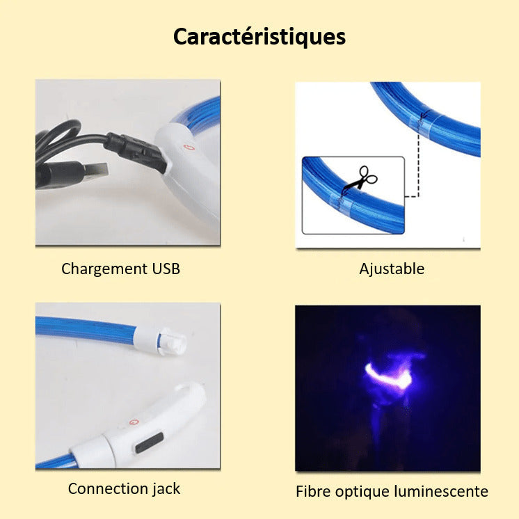 LED Dog Collar Rechargeable Light Up Safety Collar for Dogs