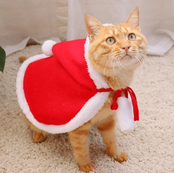 Christmas Santa Claus Cape Costume for Cats Pet Holiday Outfit