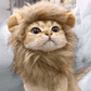 Lion Mane Wig Cat Costume Pet Halloween Dress Up