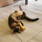 Mini Plush Cat Toys Soft Small Stuffed Animals for Cats