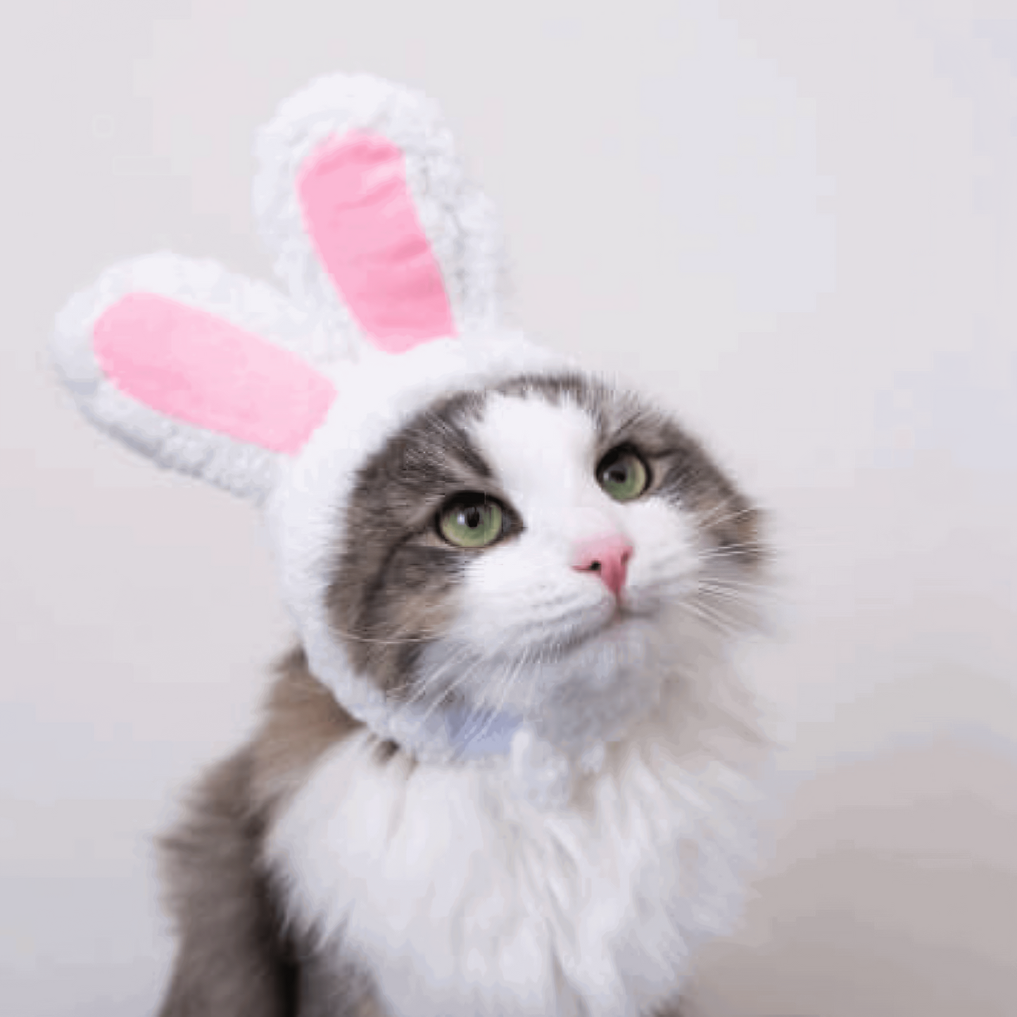 Cat Head Costume Pet Hat Cat Halloween Costume Accessories for Cats