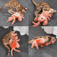Interactive Pet Toy Crawfish for Cats and Small Animals
