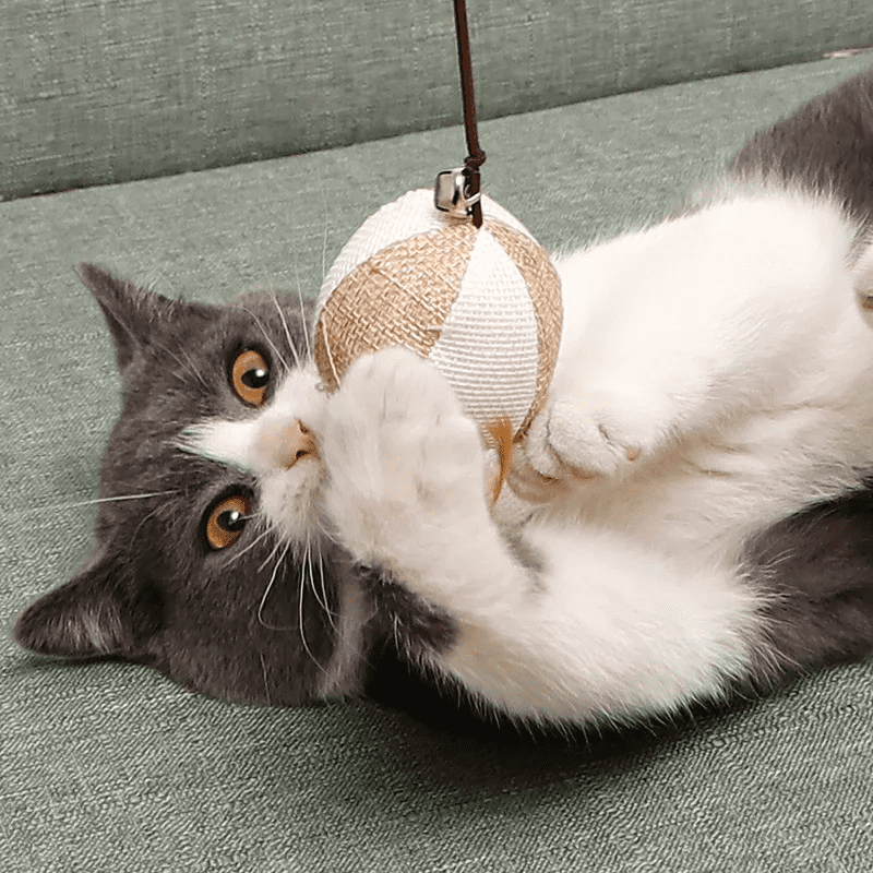 Wooden Cat Fishing Wand Toy Interactive Cat Teaser Wand for Cats
