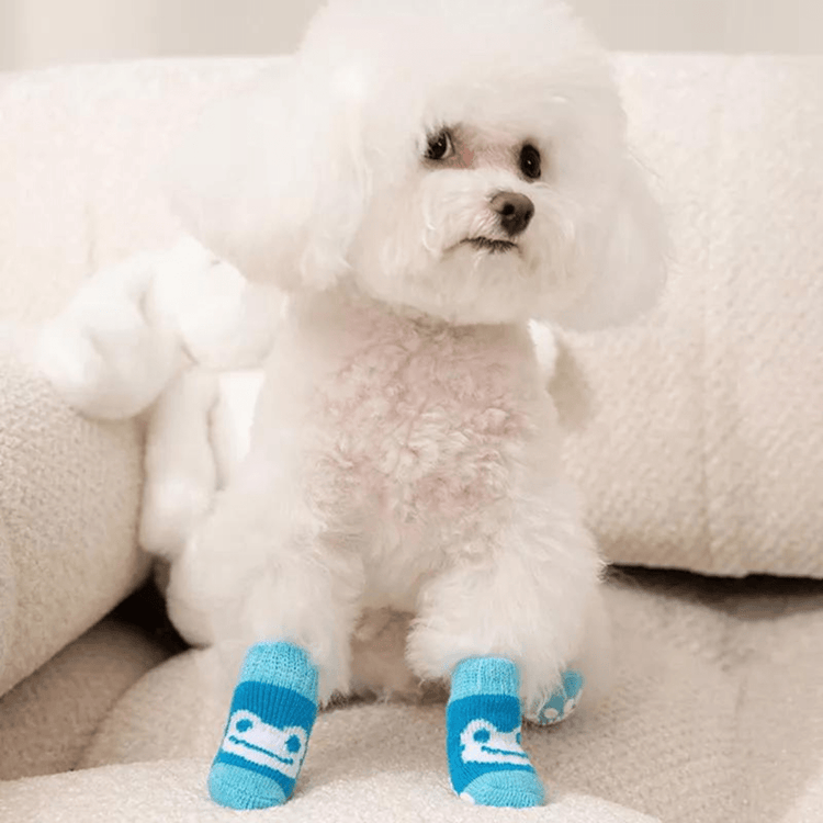 Dog Socks Non Slip Blue Frog Pattern Pet Socks for Puppies and Small Dogs