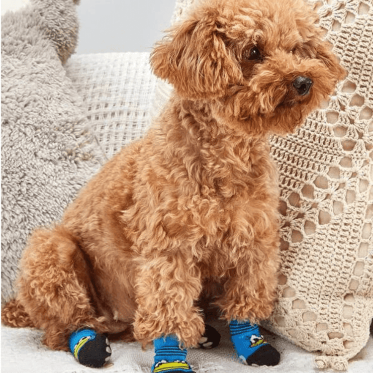 Dog Socks Duck Pattern Pet Socks for Small and Medium Dogs