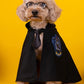 Harry Potter Cape Costume for Cats and Dogs Pet Dress Up