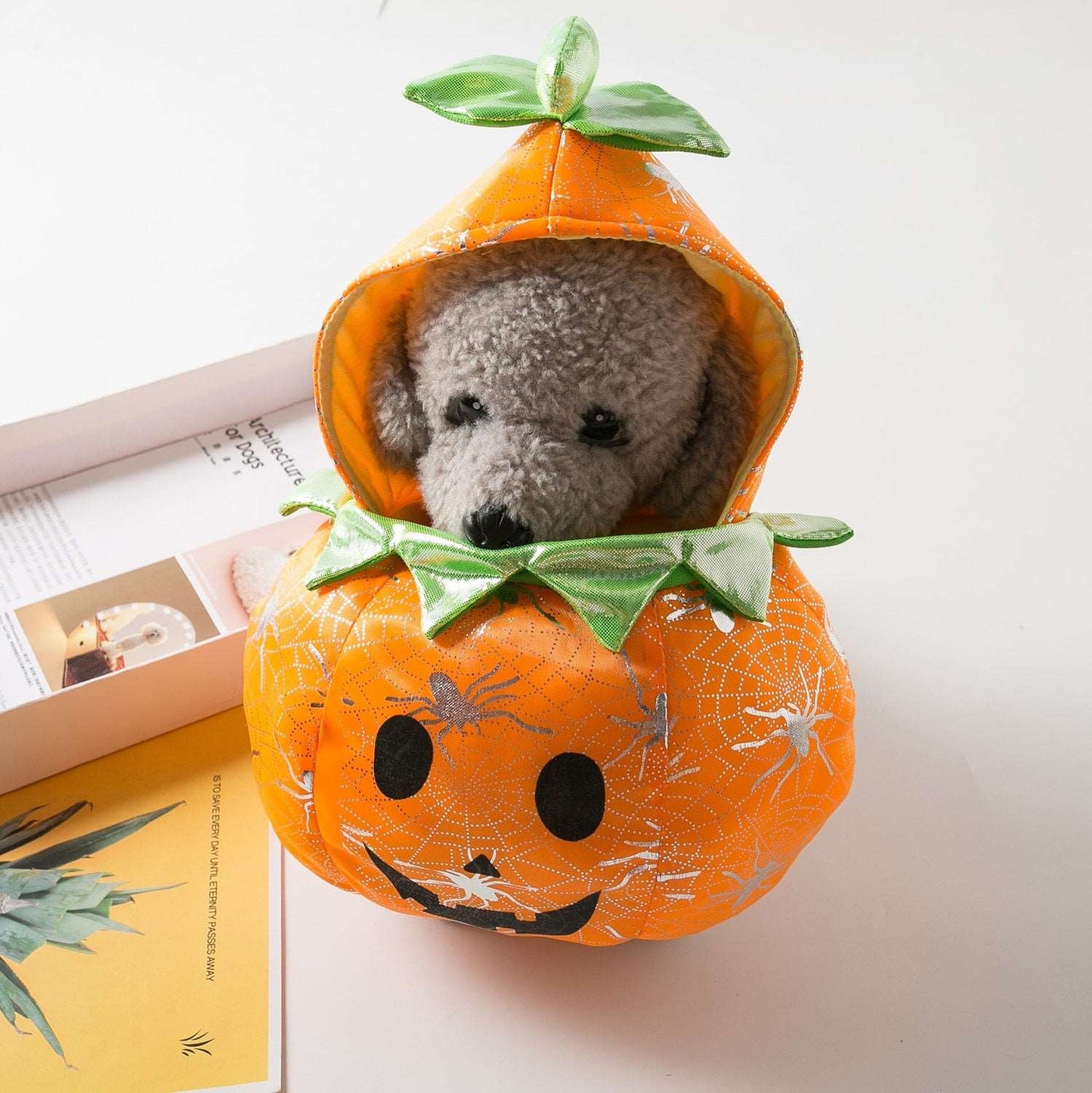 Pumpkin Costume for Cats and Dogs Pet Halloween Outfit