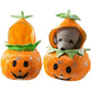 Pumpkin Costume for Cats and Dogs Pet Halloween Outfit
