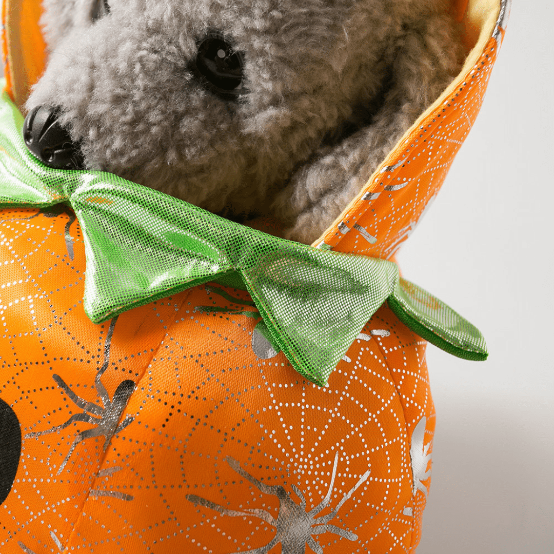 Pumpkin Costume for Cats and Dogs Pet Halloween Outfit