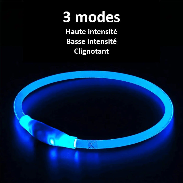 LED Dog Collar Rechargeable Light Up Safety Collar for Dogs