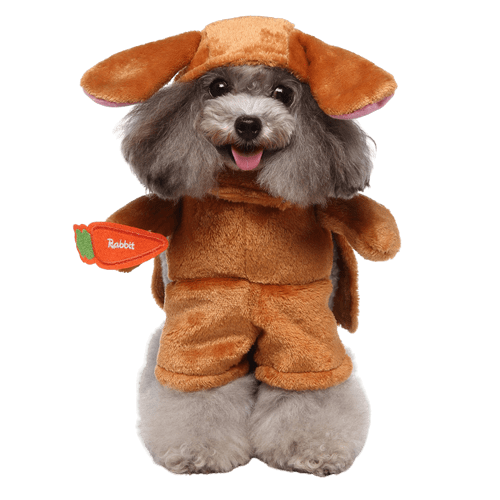 Pet Costume for Cats and Dogs Bunny Outfit Rabbit Dress Up