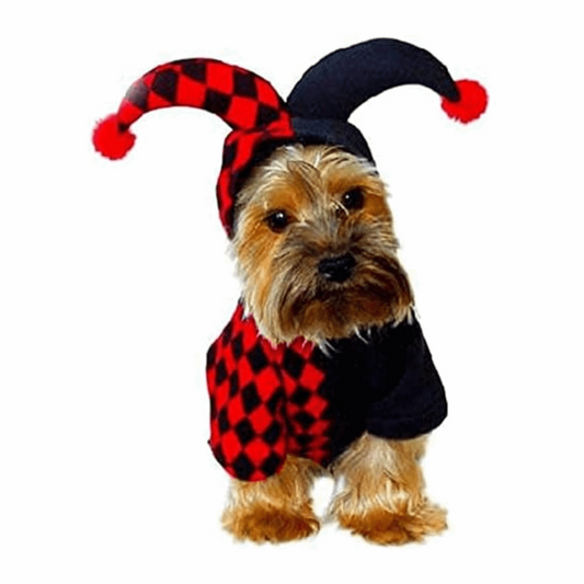 Crazy Costume for Cat and Dog Pet Halloween Outfit