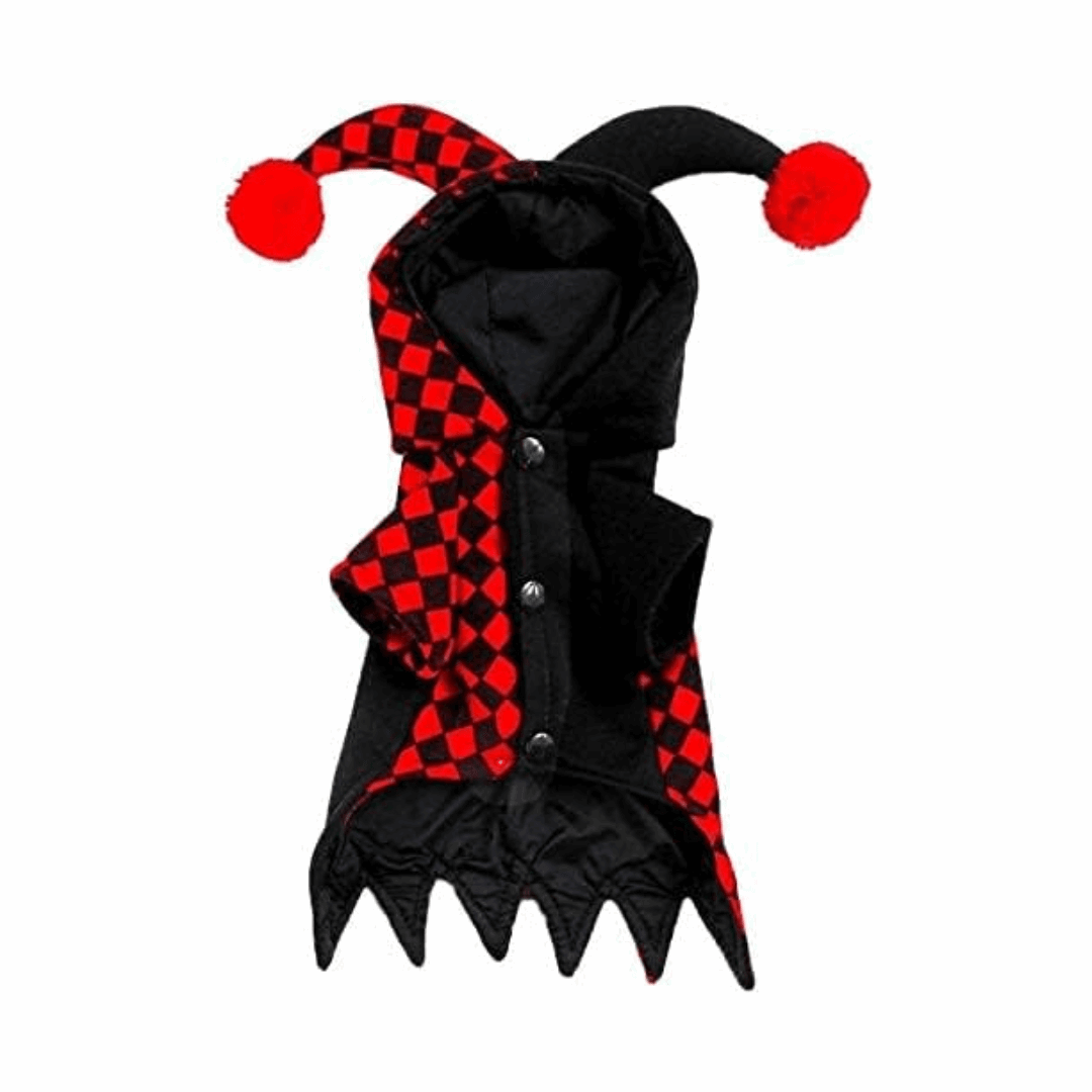 Crazy Costume for Cat and Dog Pet Halloween Outfit