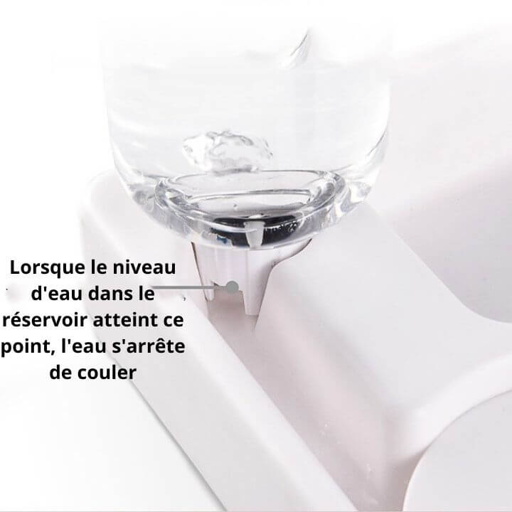 Modern Cat Bowl Stylish Pet Food Dish