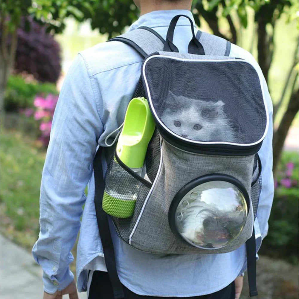 Cat Water Bottle