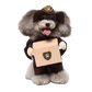Pet Delivery Driver Costume for Dogs and Cats Package Carrier Outfit