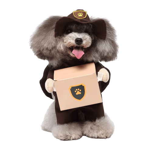 Pet Delivery Driver Costume for Dogs and Cats Package Carrier Outfit