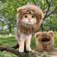 Lion Mane Wig Cat Costume Pet Halloween Dress Up