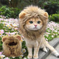 Lion Mane Wig Cat Costume Pet Halloween Dress Up