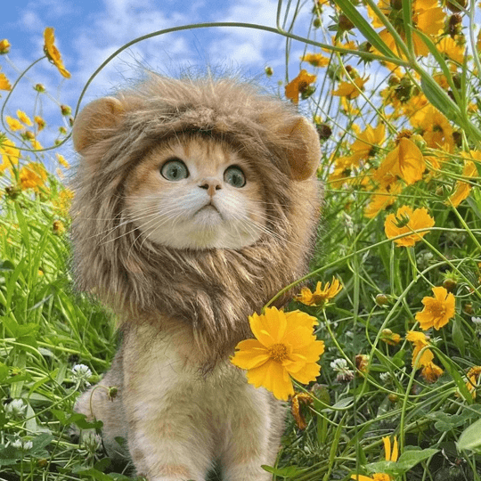 Lion Mane Wig Cat Costume Pet Halloween Dress Up