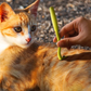 Plastic Tick Remover Tool for Dogs and Cats Pet Grooming Flea and Tick Removal