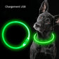 LED Dog Collar Rechargeable Light Up Safety Collar for Dogs