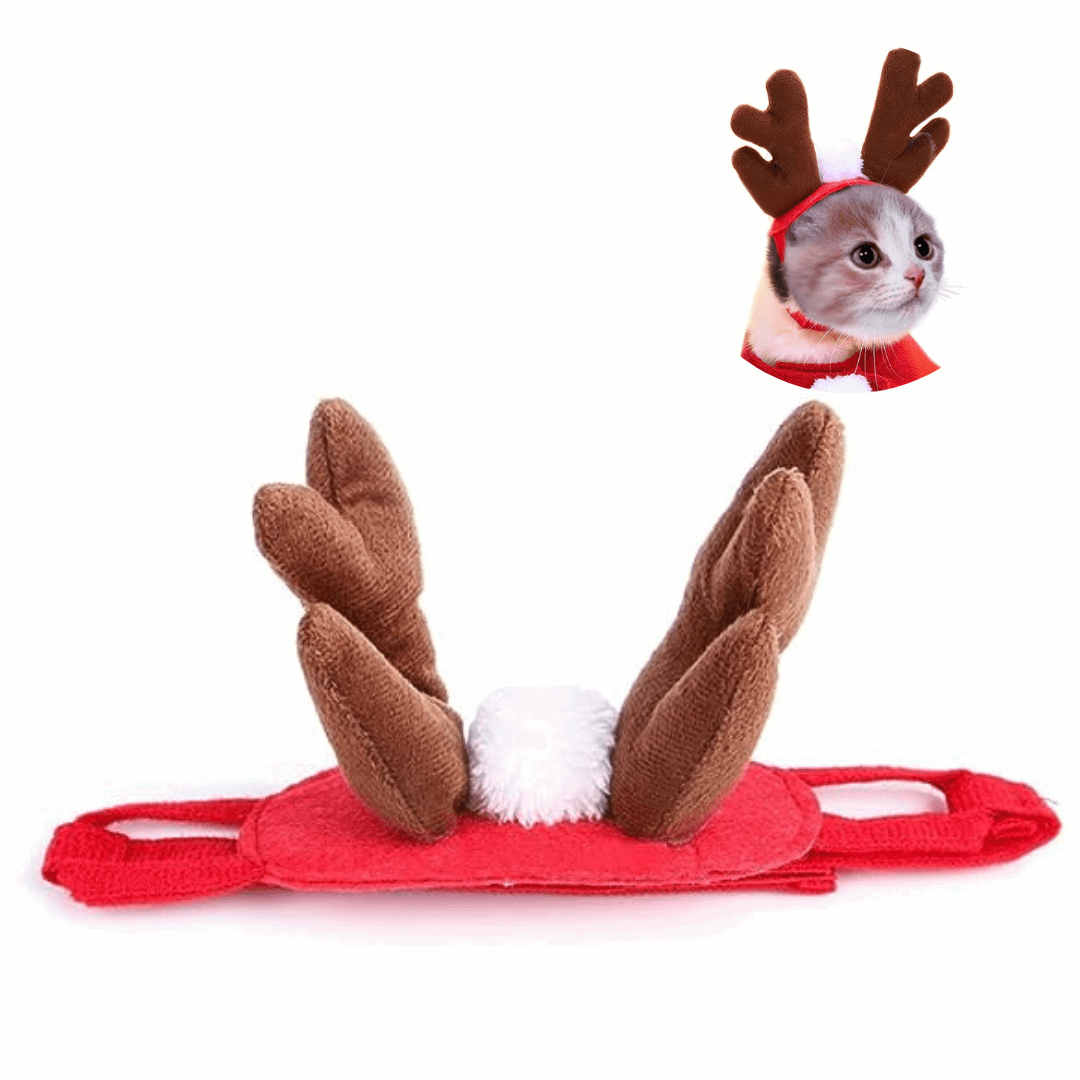 Cat Head Costume Pet Hat Cat Halloween Costume Accessories for Cats