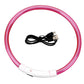 LED Dog Collar Rechargeable Light Up Safety Collar for Dogs