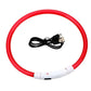 LED Dog Collar Rechargeable Light Up Safety Collar for Dogs